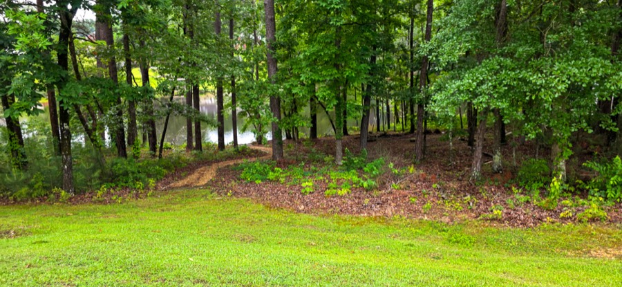 Wooded path leading down to the private lake